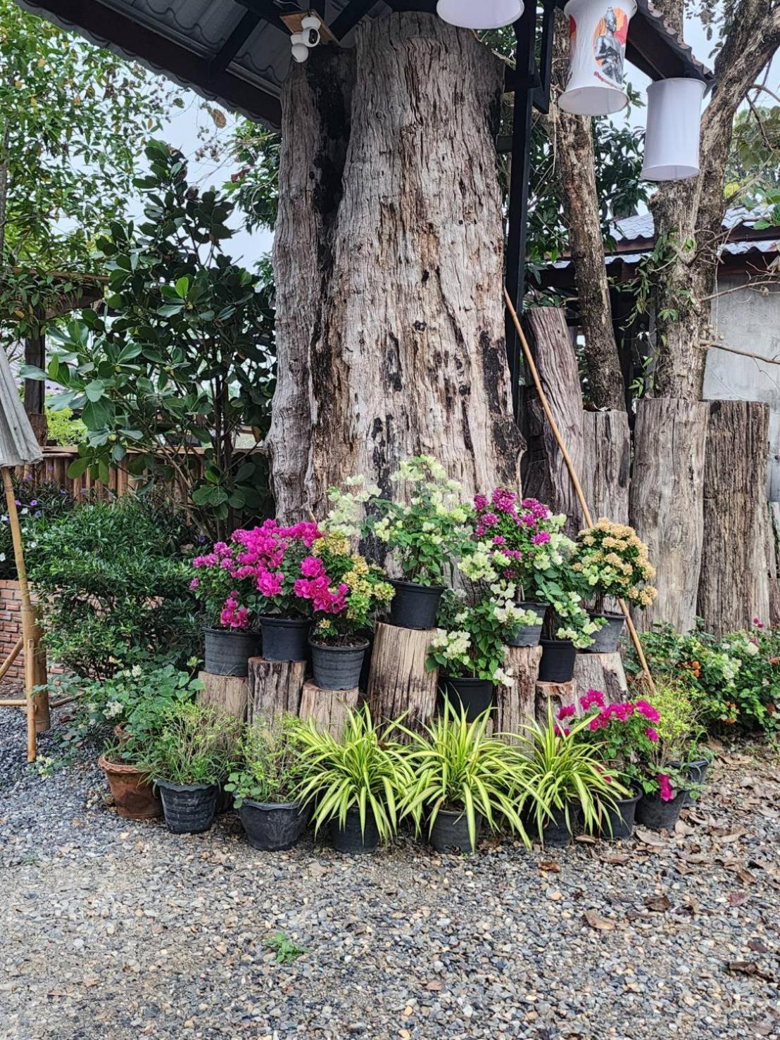 Suk Sabai Homestay Sukhothai Zewnętrze zdjęcie